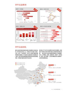 聚焦数据洞察 美国咨询机构与199it网站的设计及技术咨询实践